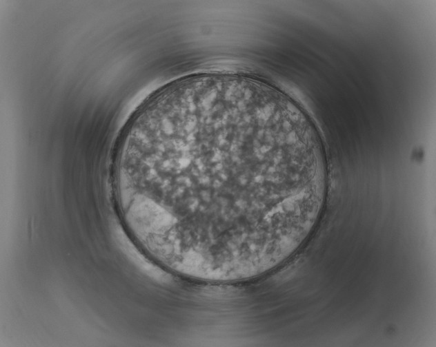 X0000113231091200910081400