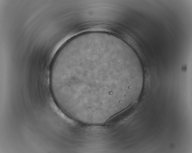 X0000113231092200910081400