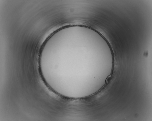 X0000113231093200910081400