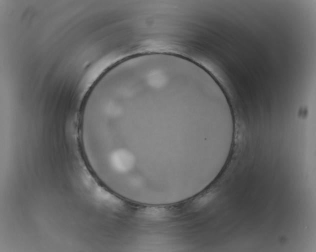 X0000113231094200910081400