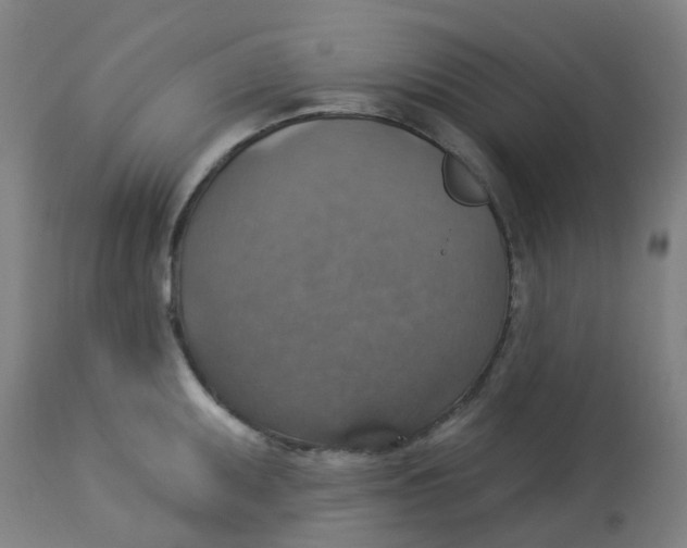 X0000113231095200910081400