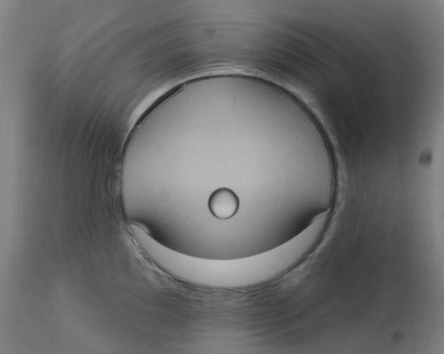 X0000113231097200910081400