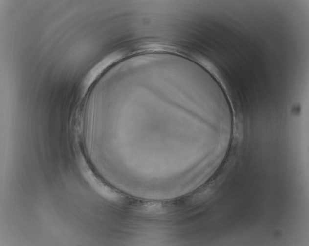 X0000113231098200910081400