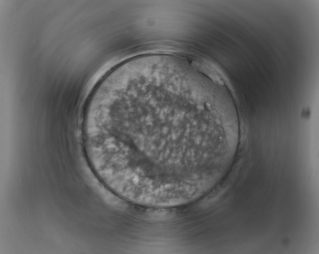 X0000113231099200910081400