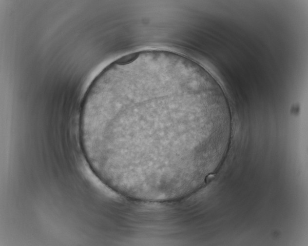 X0000113231100200910081400