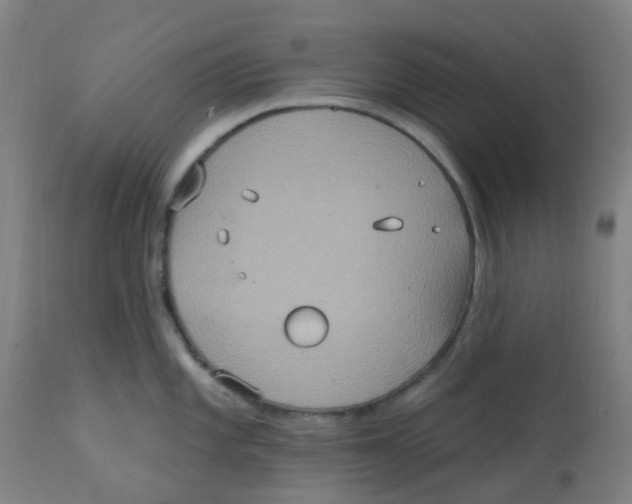 X0000113231101200910081400