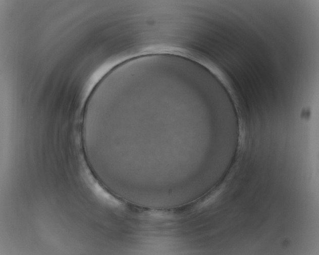 X0000113231102200910081359