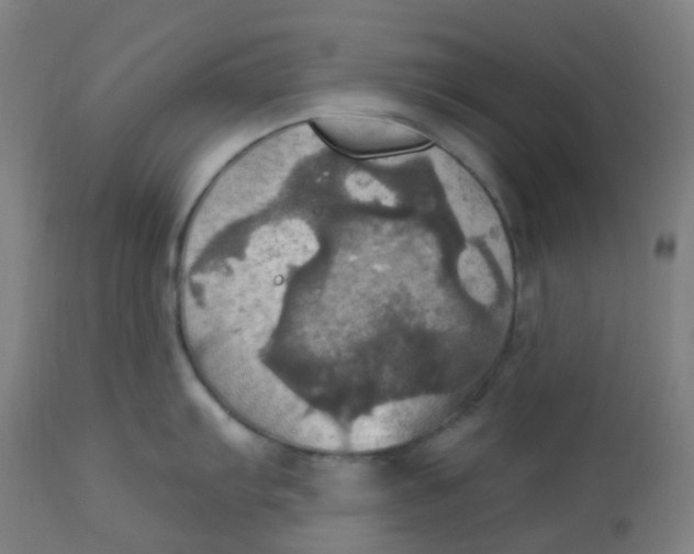 X0000113231103200910081359