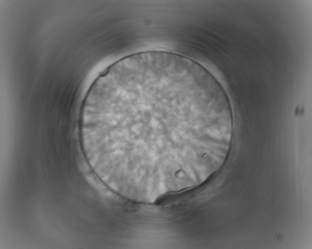 X0000113231104200910081359