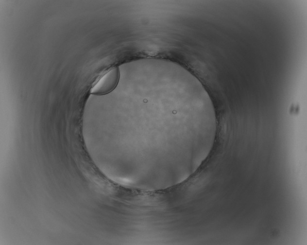 X0000113231105200910081359