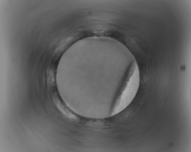 X0000113231106200910081359