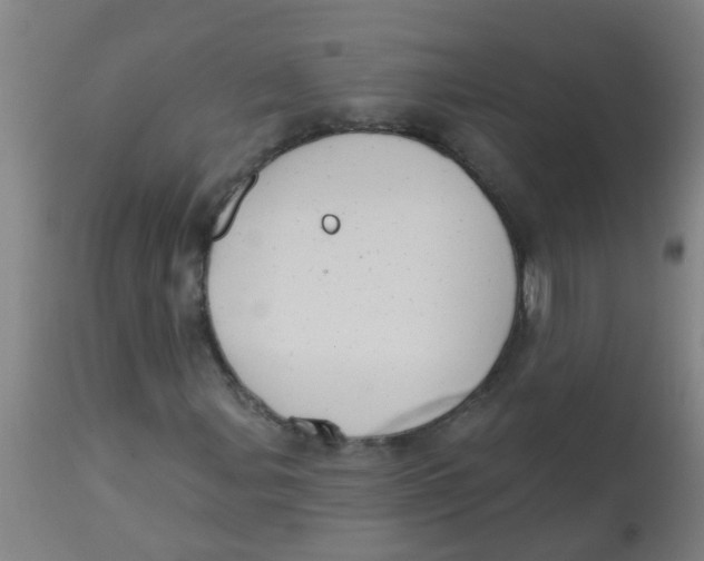 X0000113231107200910081359