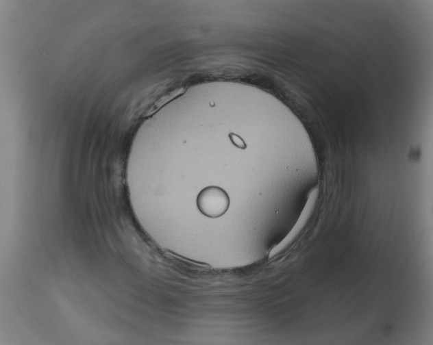 X0000113231108200910081359