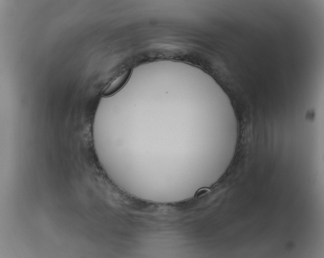 X0000113231109200910081359