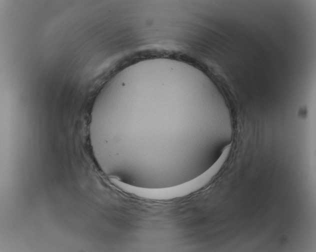 X0000113231110200910081359