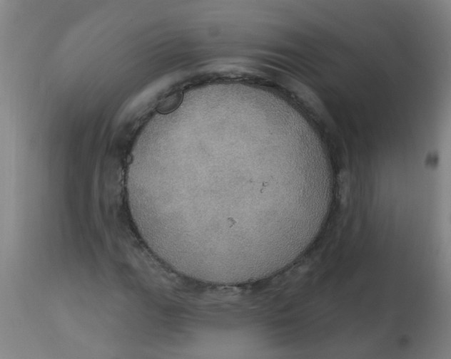 X0000113231111200910081359