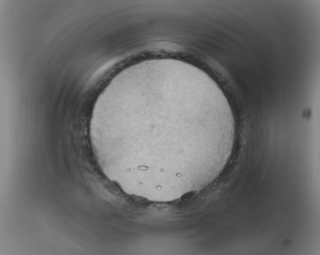 X0000113231112200910081359