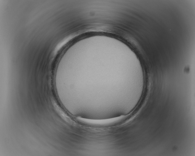 X0000113231114200910081359