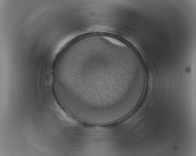 X0000113231115200910081359