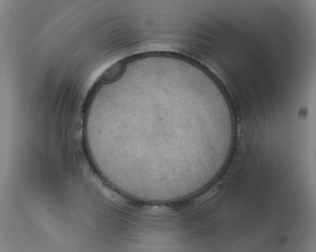 X0000113231119200910081359