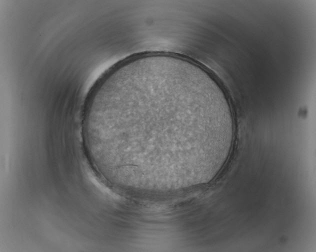 X0000113231120200910081359