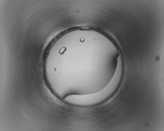 X0000113231122200910081359