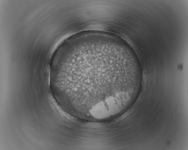 X0000113231123200910081359