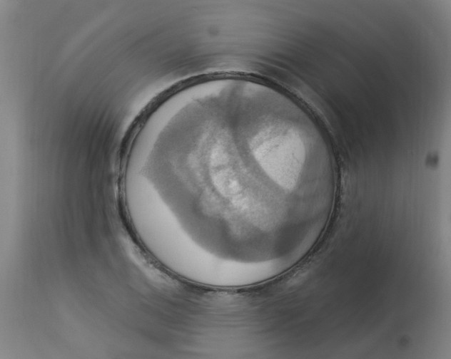 X0000113231124200910081359