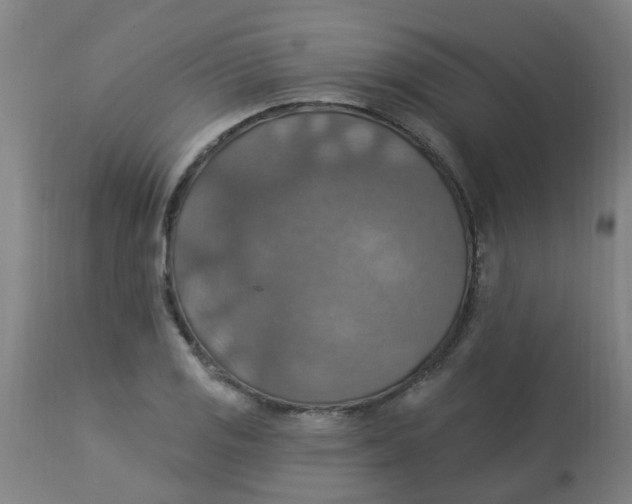 X0000113231125200910081359