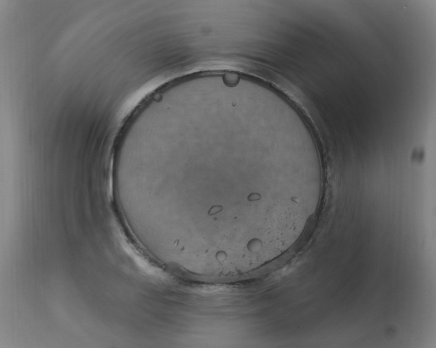 X0000113231127200910081359