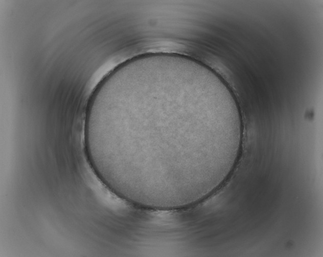 X0000113231130200910081359