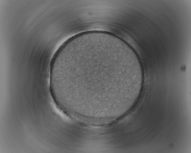 X0000113231132200910081359