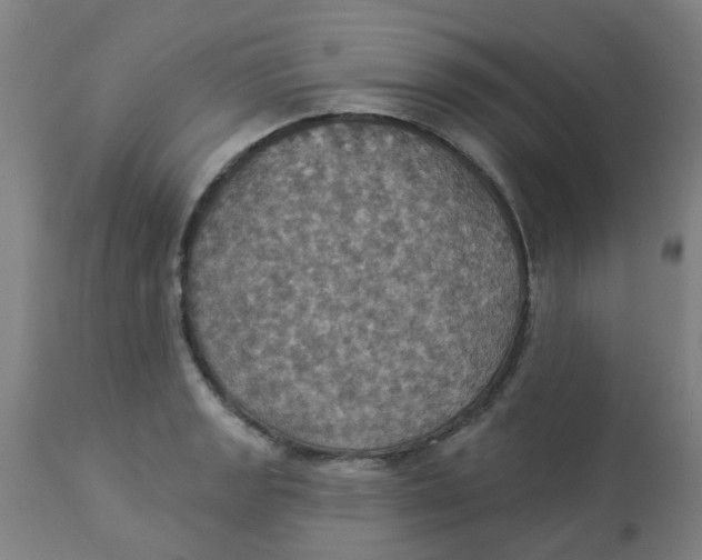 X0000113231133200910081359