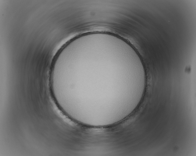 X0000113231134200910081359