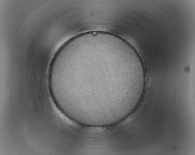 X0000113231135200910081359