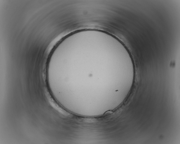 X0000113231136200910081359