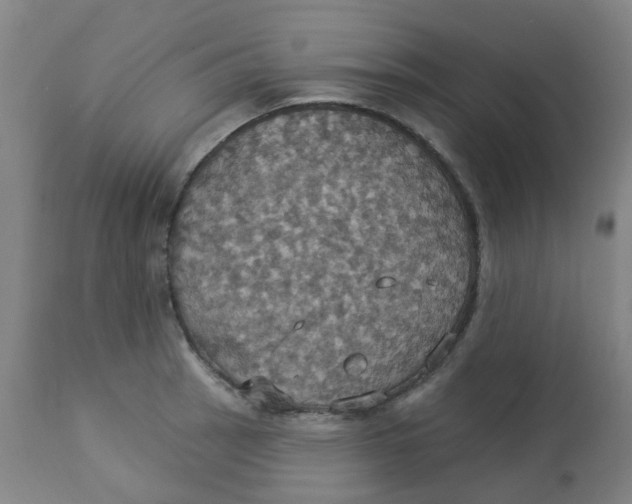 X0000113231137200910081359