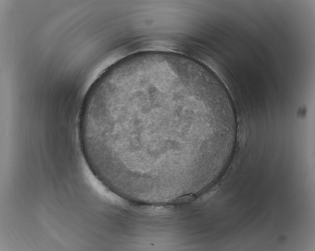 X0000113231139200910081359