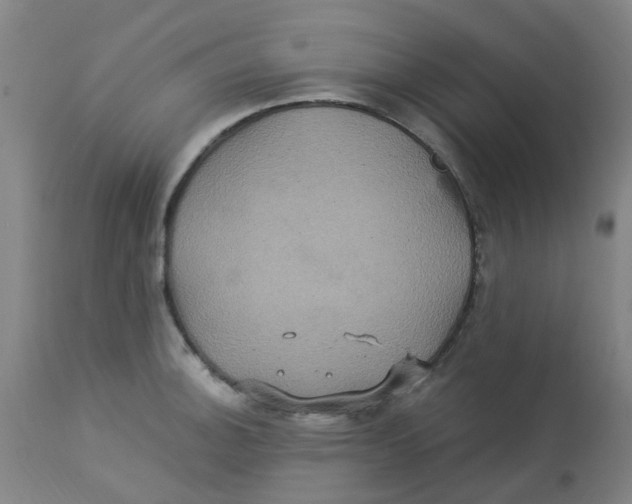 X0000113231140200910081359