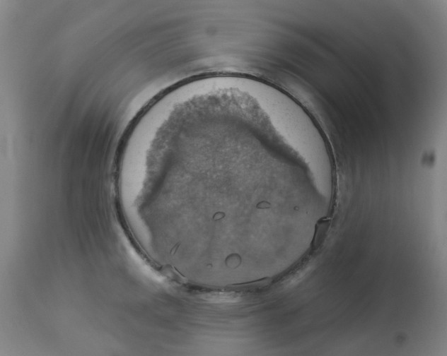 X0000113231141200910081359