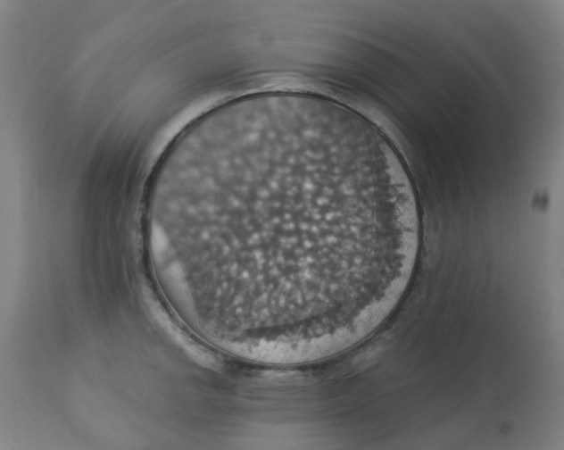 X0000113231142200910081359