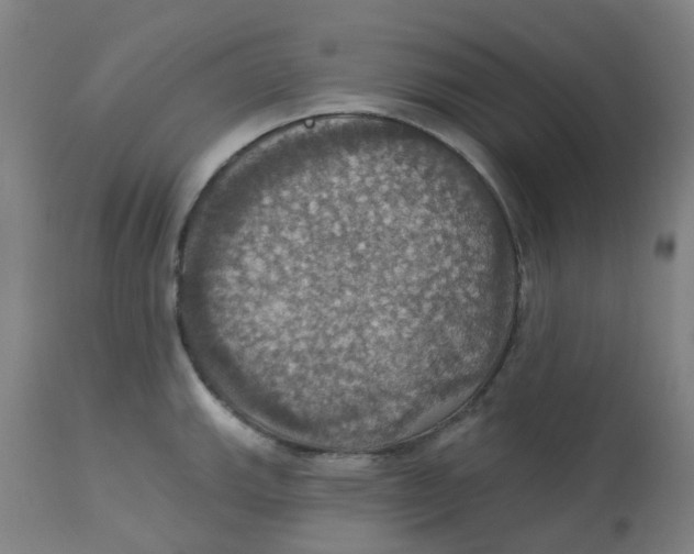 X0000113231143200910081359