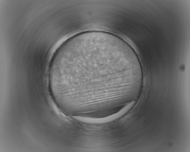 X0000113231144200910081359