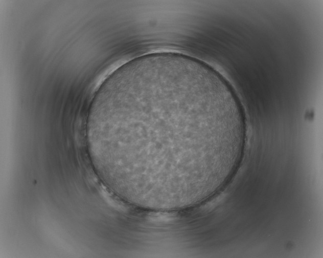 X0000113231145200910081359