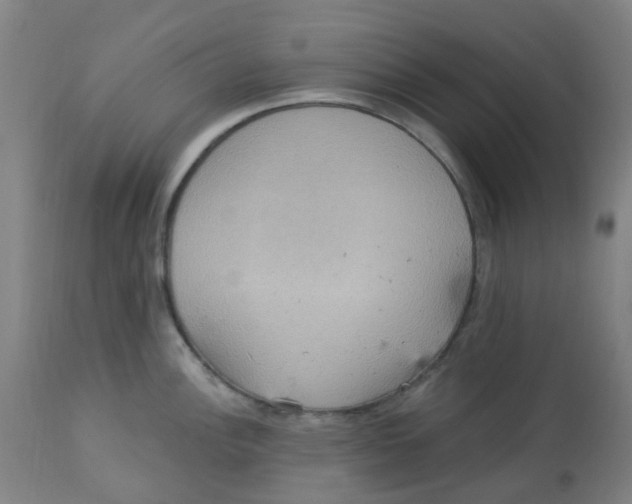 X0000113231148200910081359