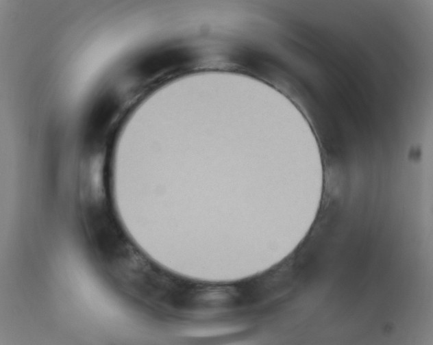 X0000113231150200910081359