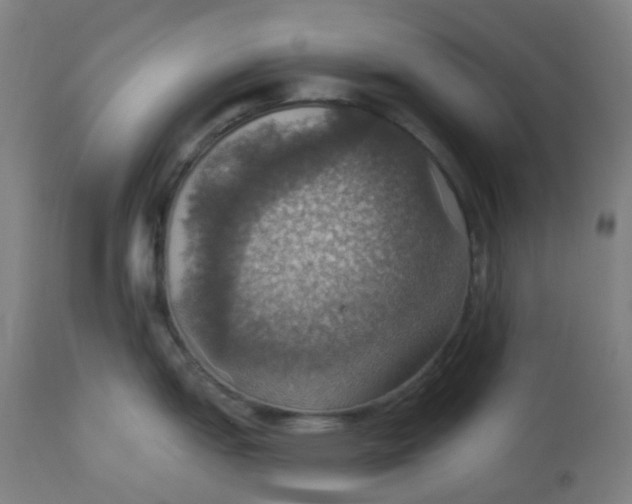 X0000113231151200910081359