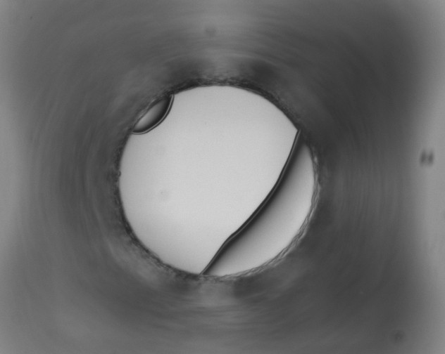 X0000113231153200910081359