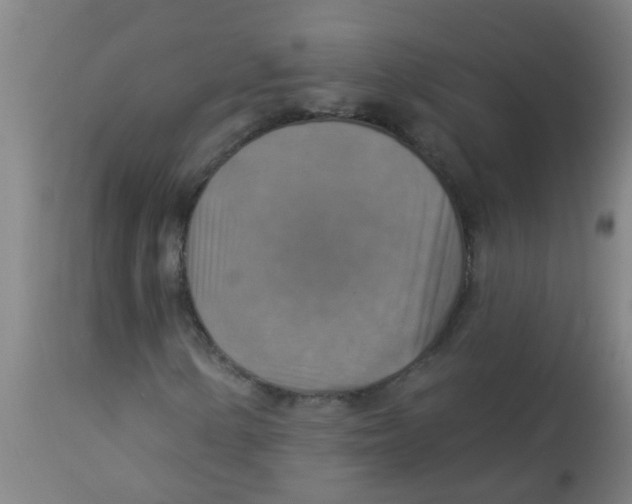 X0000113231154200910081359