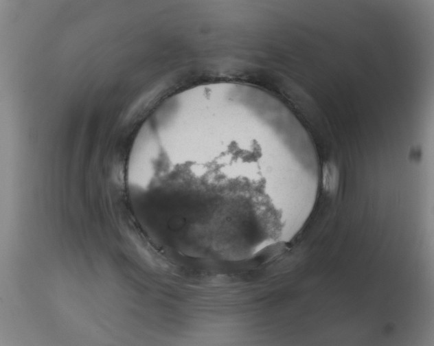 X0000113231155200910081359